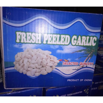 2016 Hot-Selling Peeled Garlic